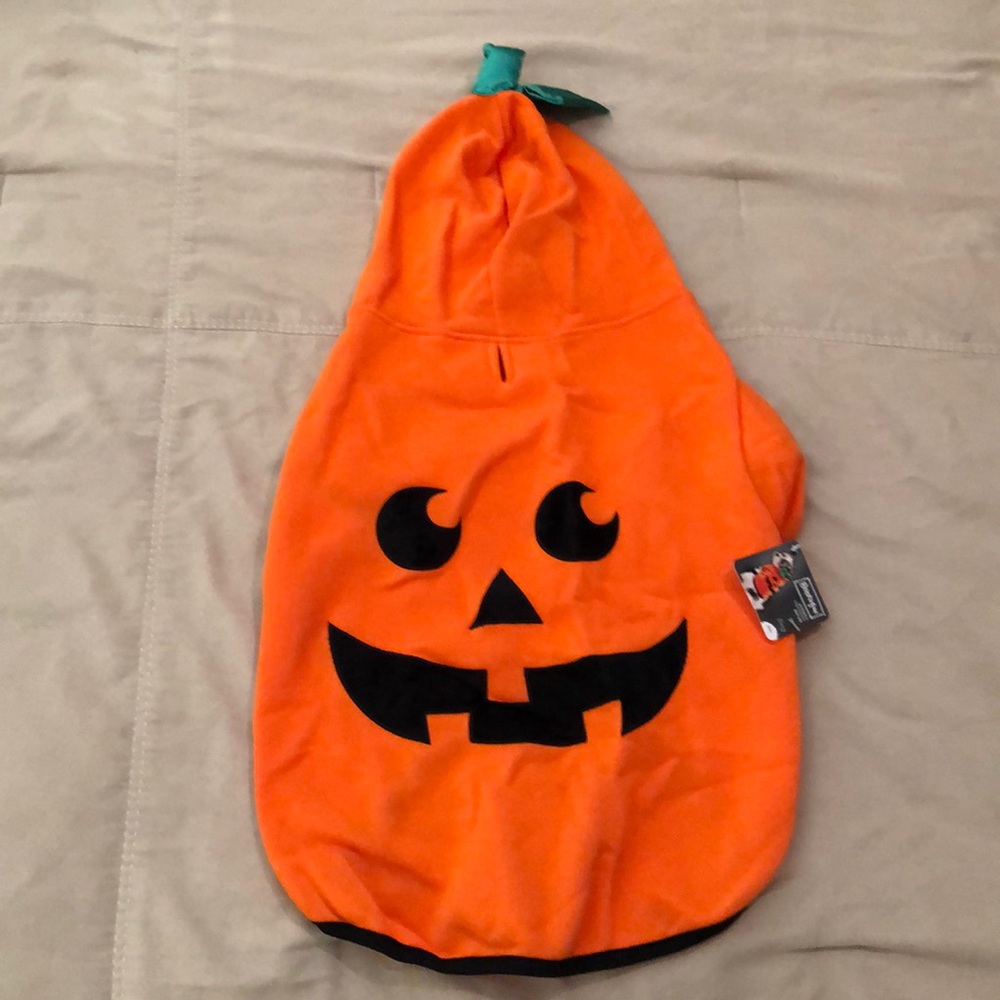 Pumpkin 🎃 Dog 🐶 Hoodie 🐾